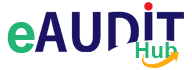 eAUDITHub Logo